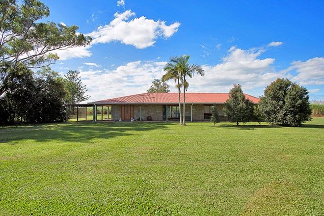 Picture of 955 Walkerston-Homebush Road, SANDIFORD QLD 4740