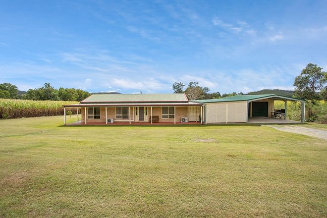 Picture of 516 Yakapari-Seaforth Road, KUTTABUL QLD 4741