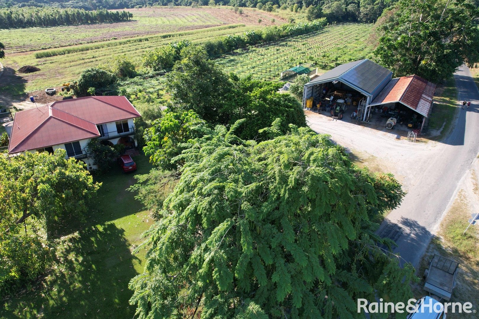 315 Shannonvale Road, Shannonvale QLD 4873 Domain