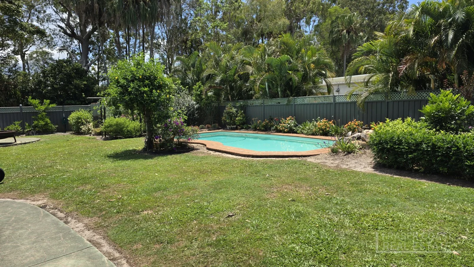 Image 19