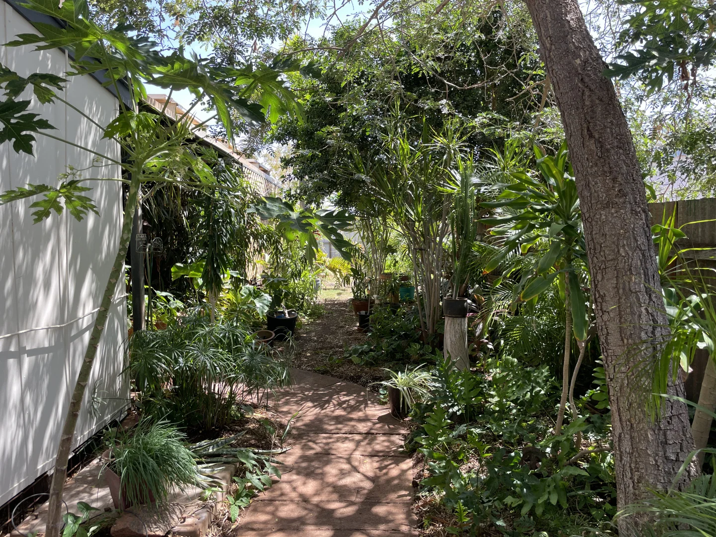 Image 13
