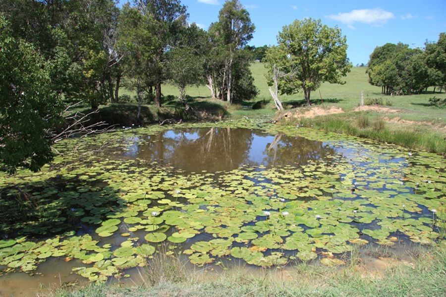 East Deep Creek QLD 4570, Image 2