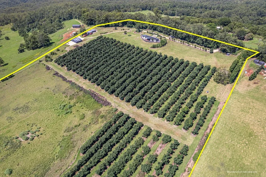 Additional image 24 of Lot 4 Horrex Road, Ravensbourne QLD 4352