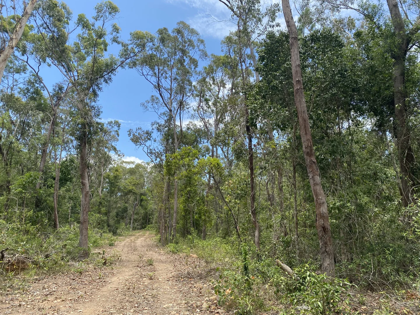 Image 13