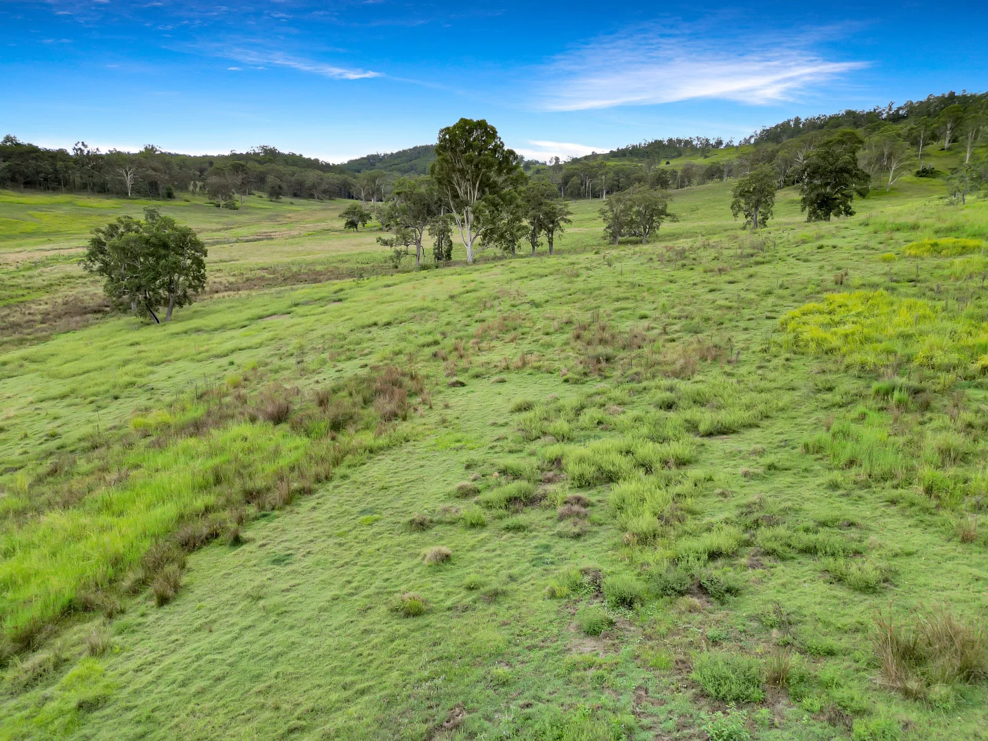 Additional image 7 of Lot 146 Nolans Road, Mummulgum NSW 2469