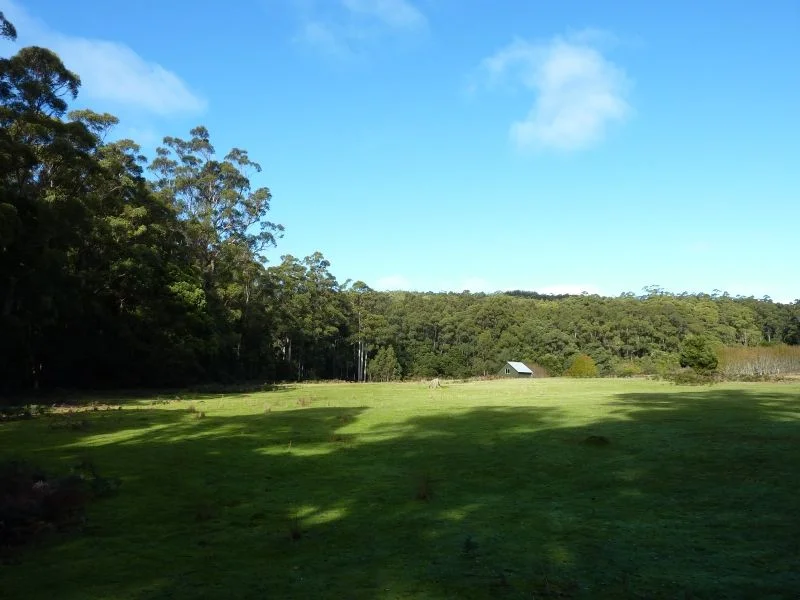 Image 15
