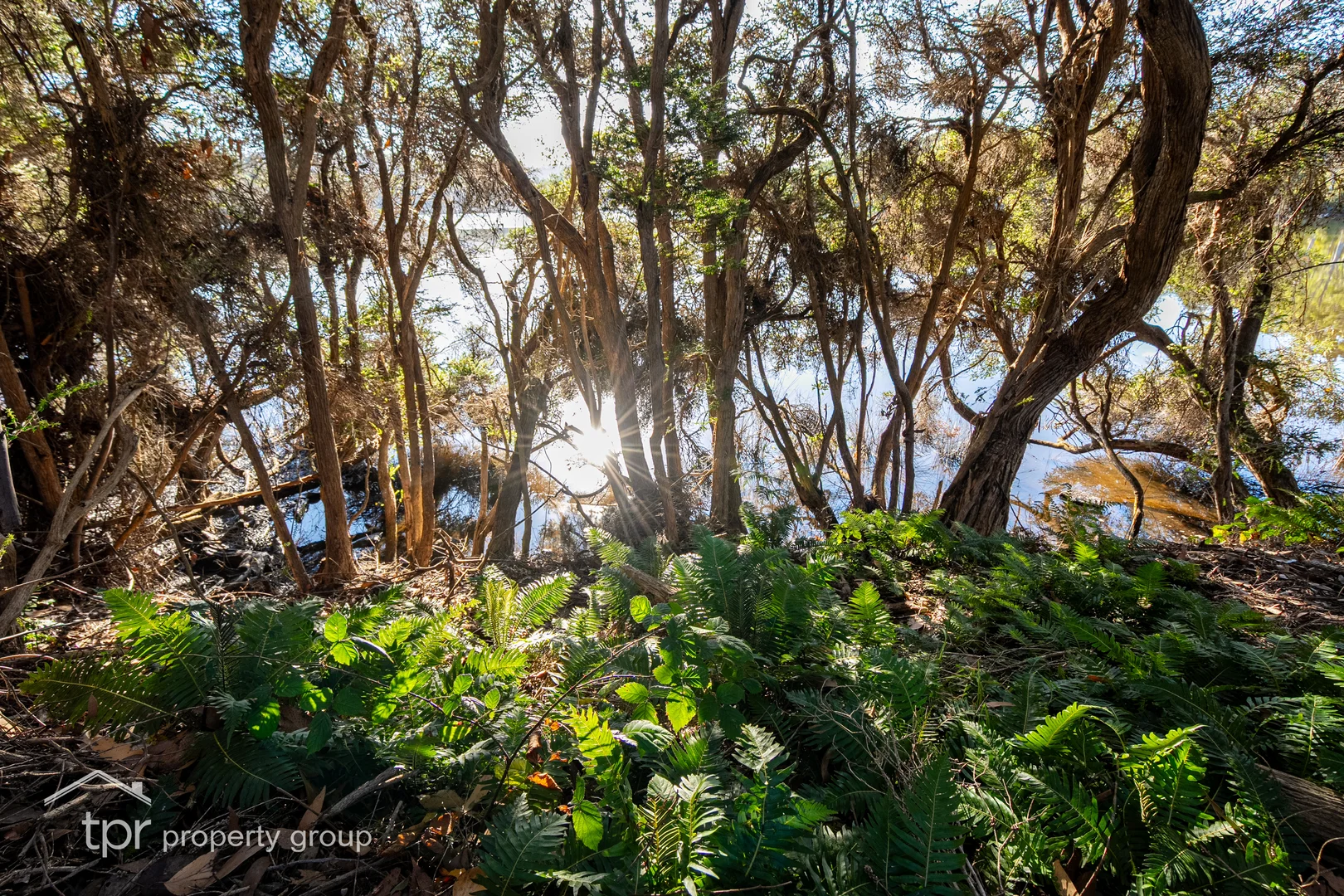 Additional image 25 of 2 Narrows Road, Strathblane TAS 7109