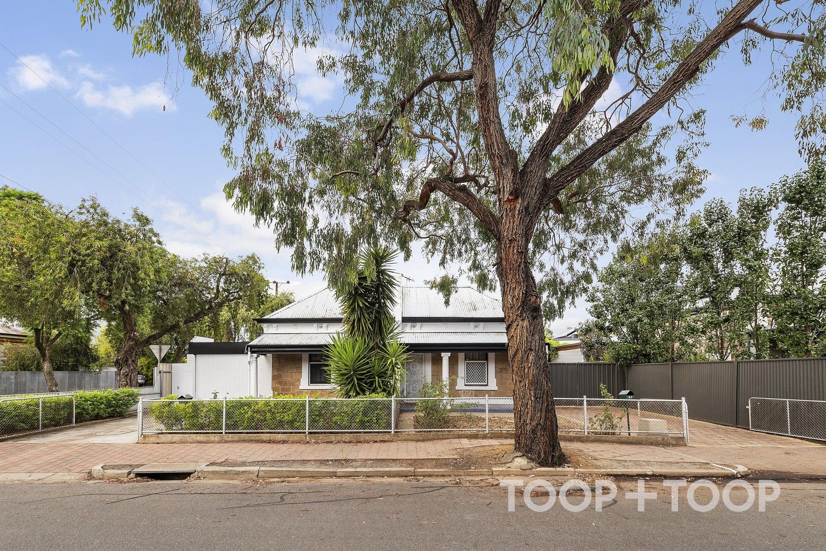 45 Castle Street, Parkside SA 5063, Image 1