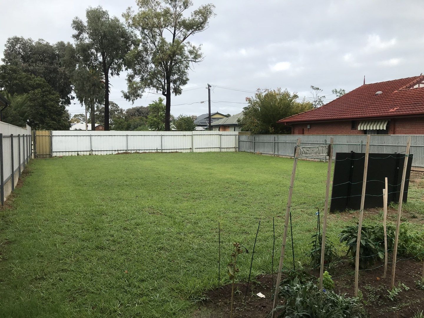 24 Langdon Avenue, Clarence Park SA 5034, Image 1