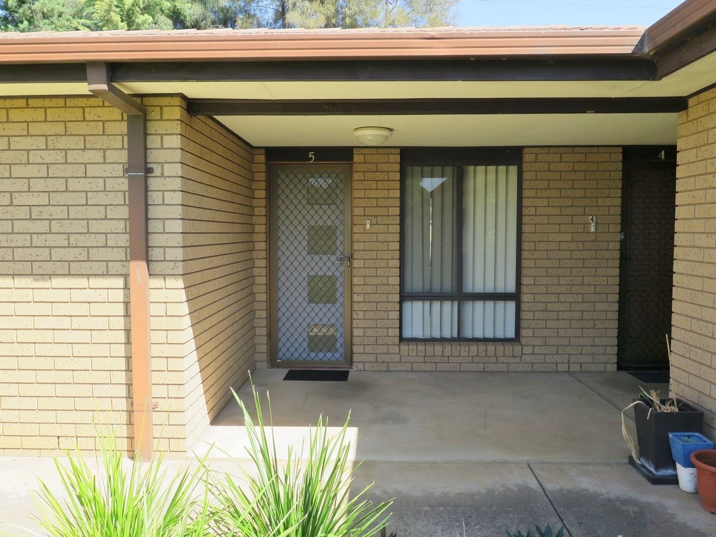 5/33 Wren Street, Mount Austin NSW 2650, Image 0