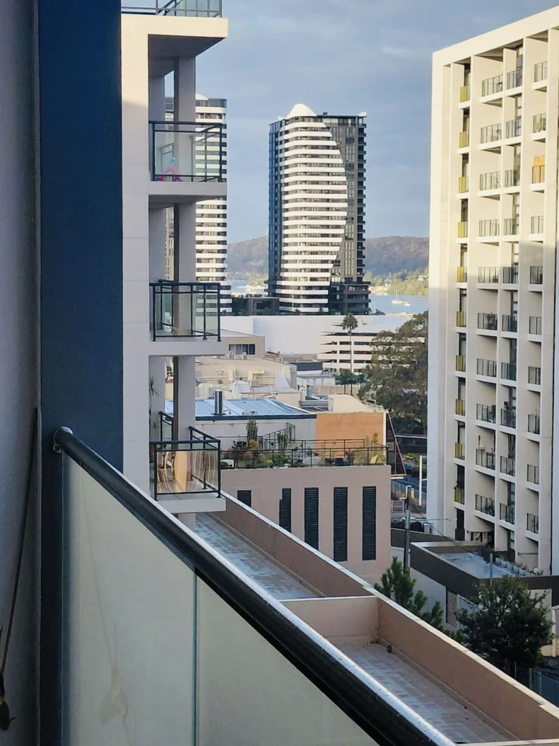 Image 8