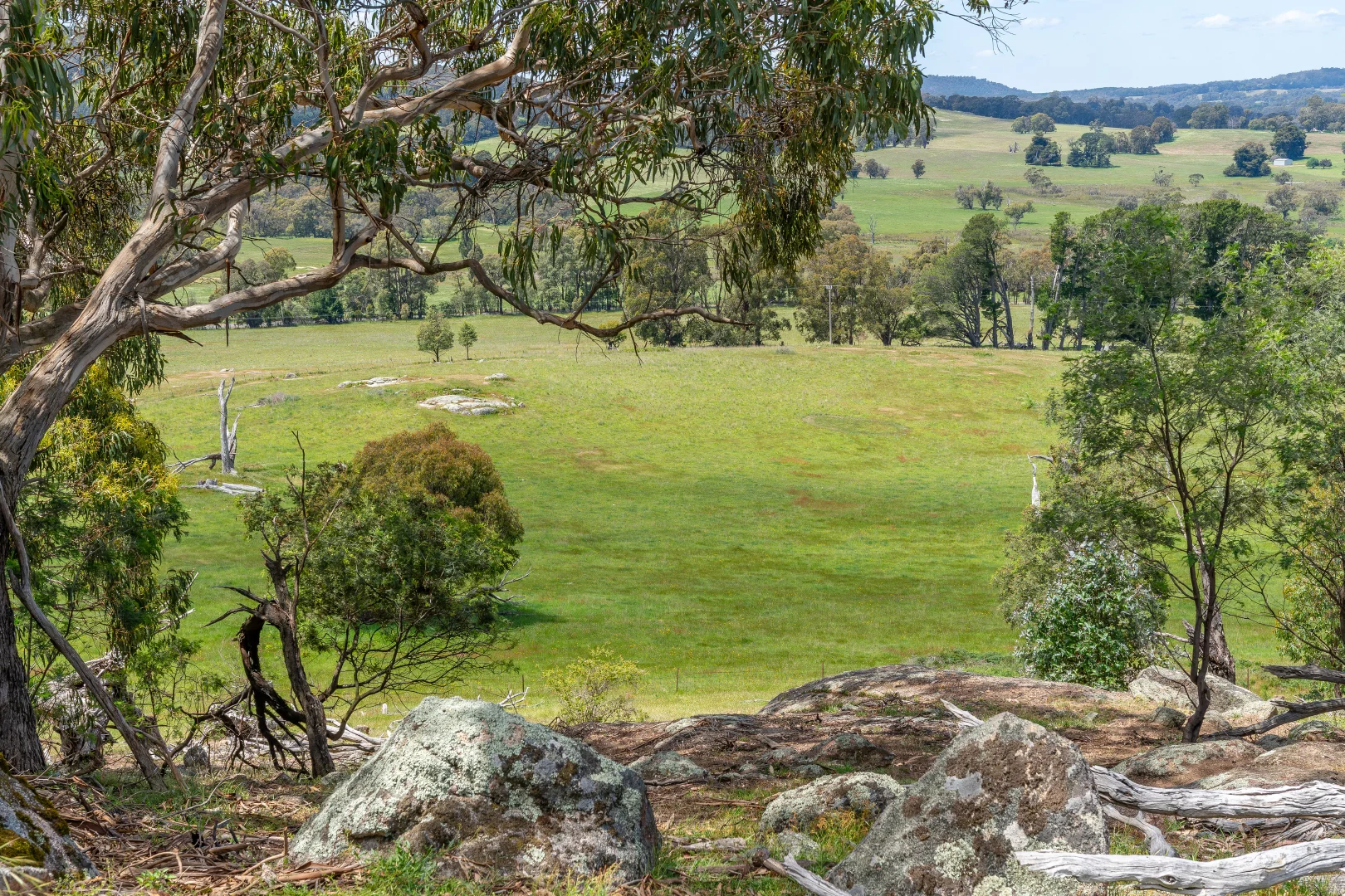 Image 14