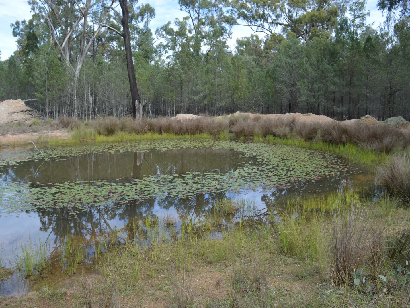 Additional image 5 of Lot 17 The Hut Road, Inglewood QLD 4387