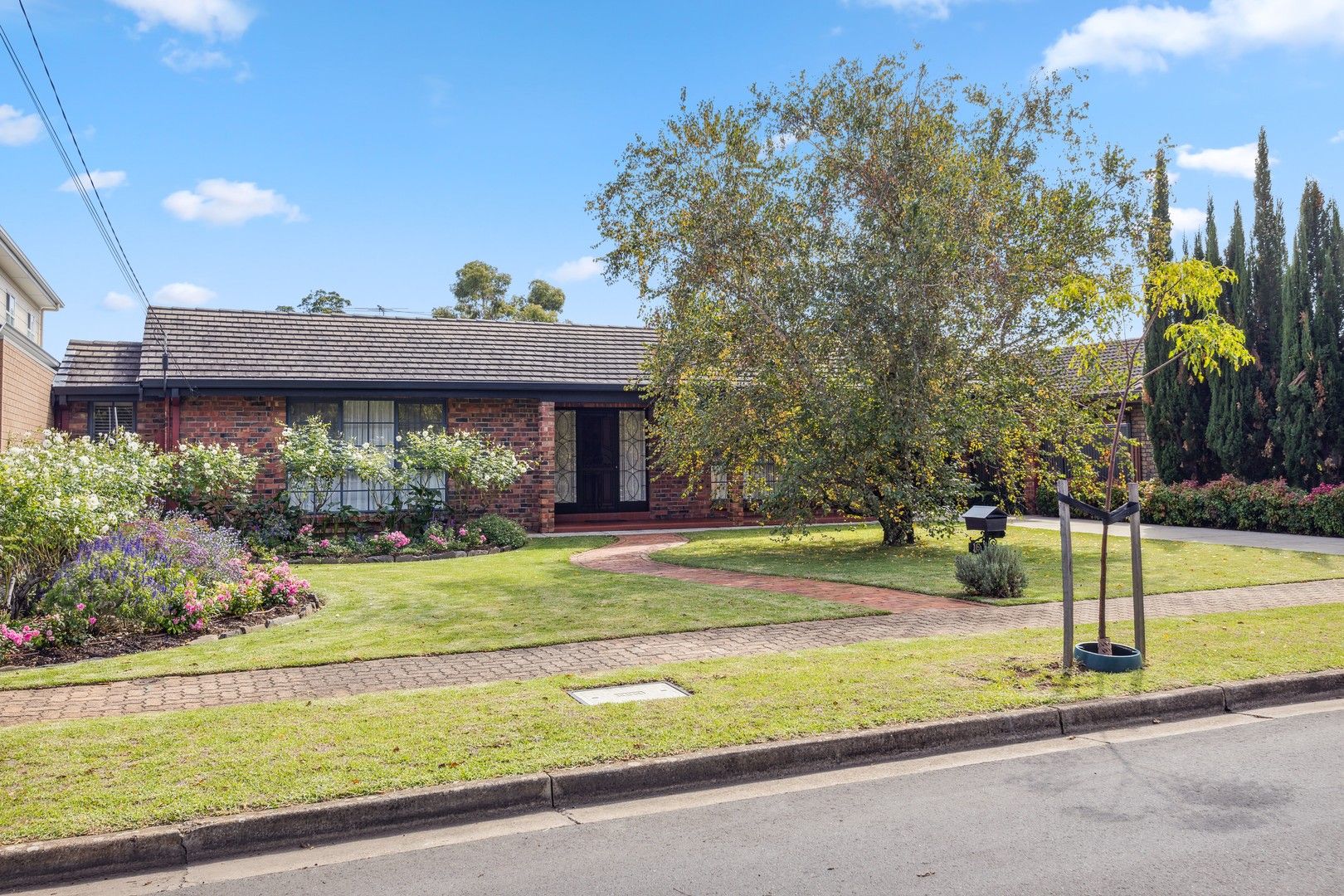 16 William Road, Vale Park SA 5081, Image 0