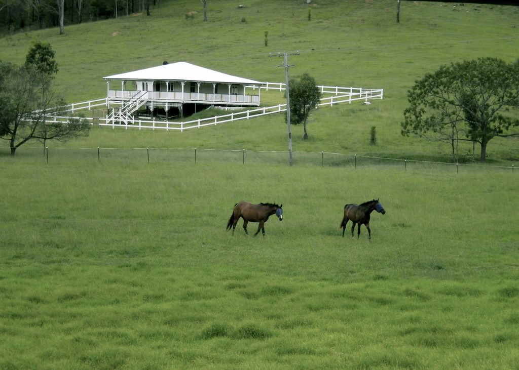 3970 Boonah - Rathdowney Road, Rathdowney QLD 4287