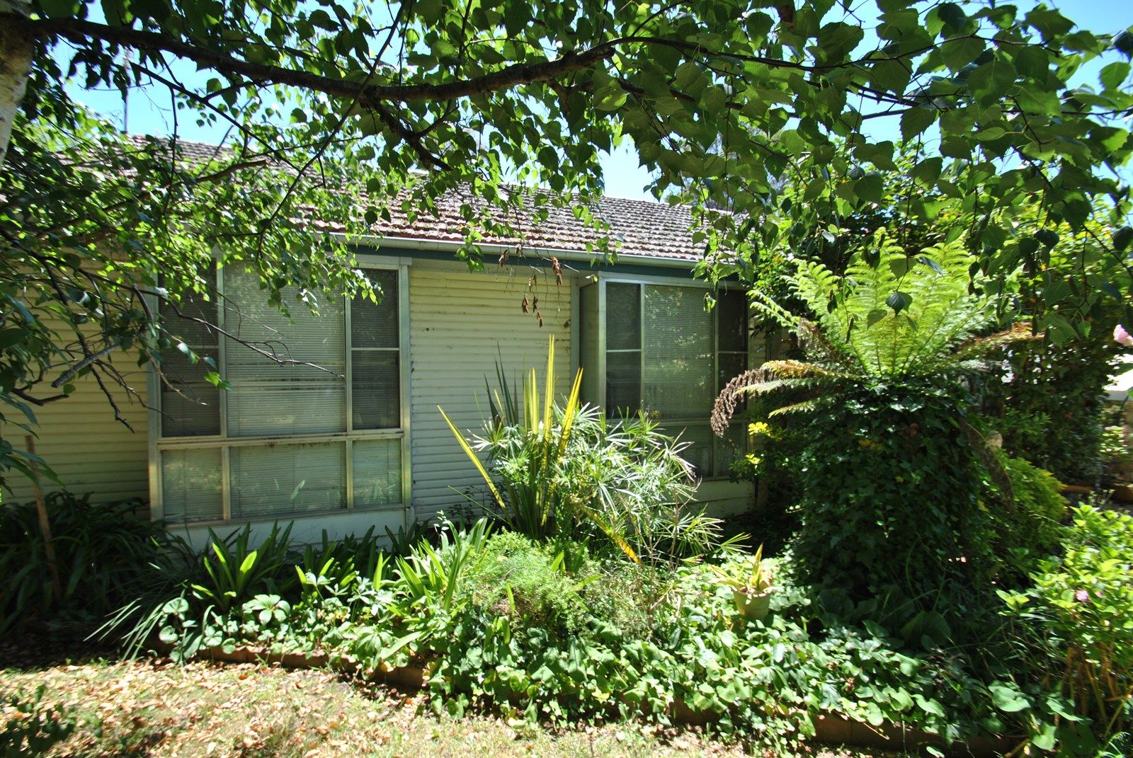 1154 The Escort Way, Orange NSW 2800, Image 1