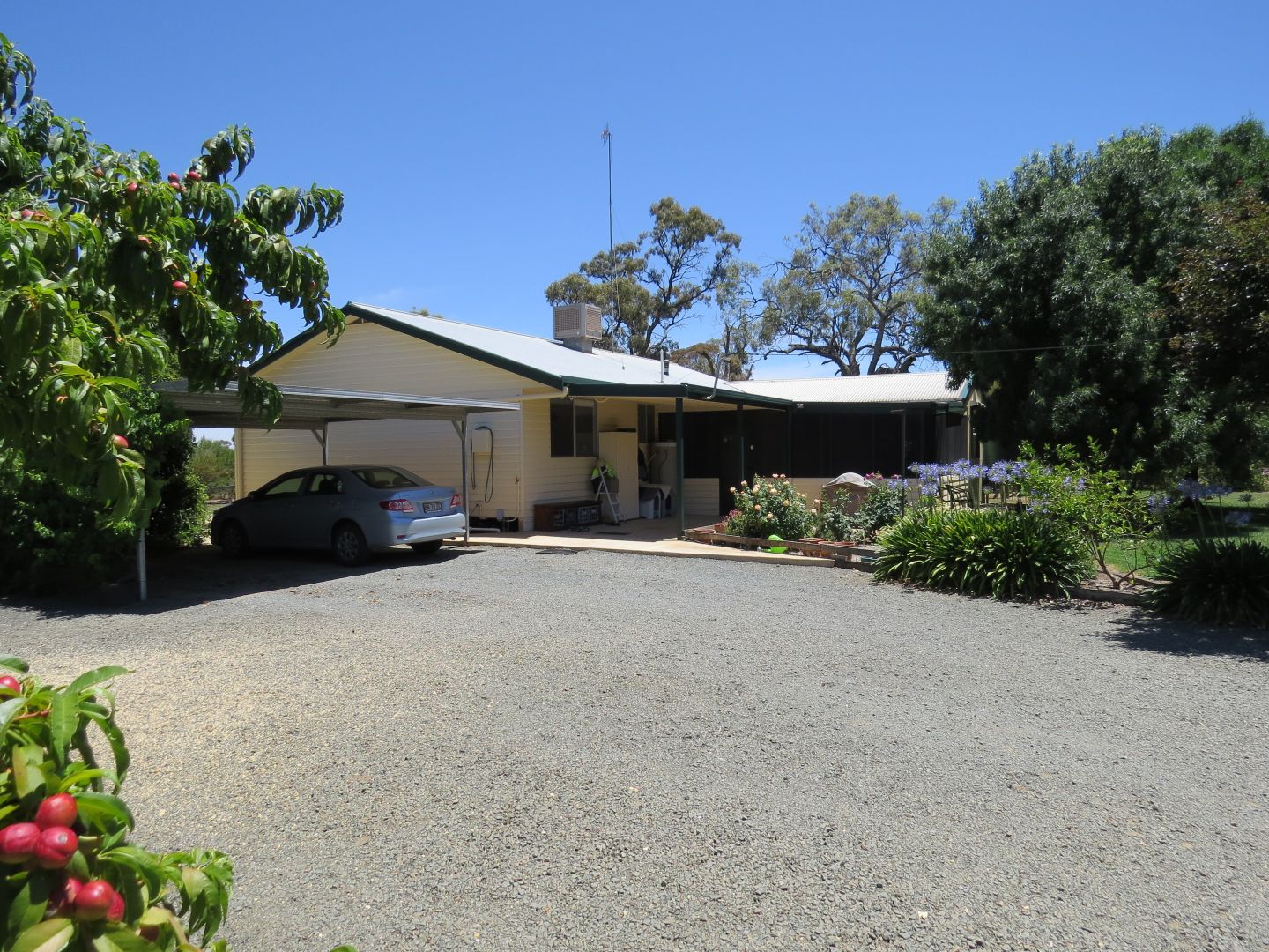 894 STUD PARK ROAD, Deniliquin NSW 2710, Image 1