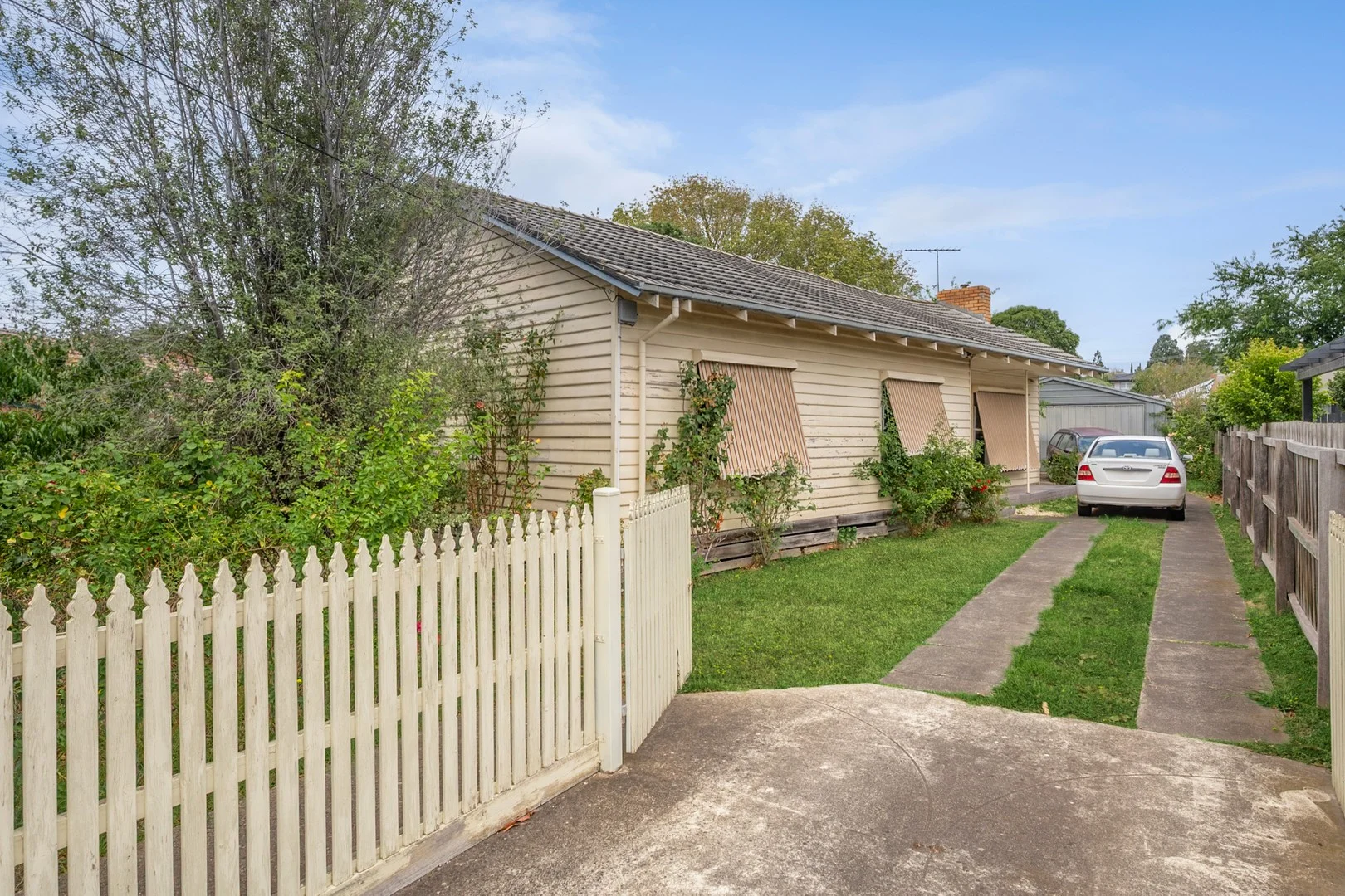 15 College Court, Newtown VIC 3220