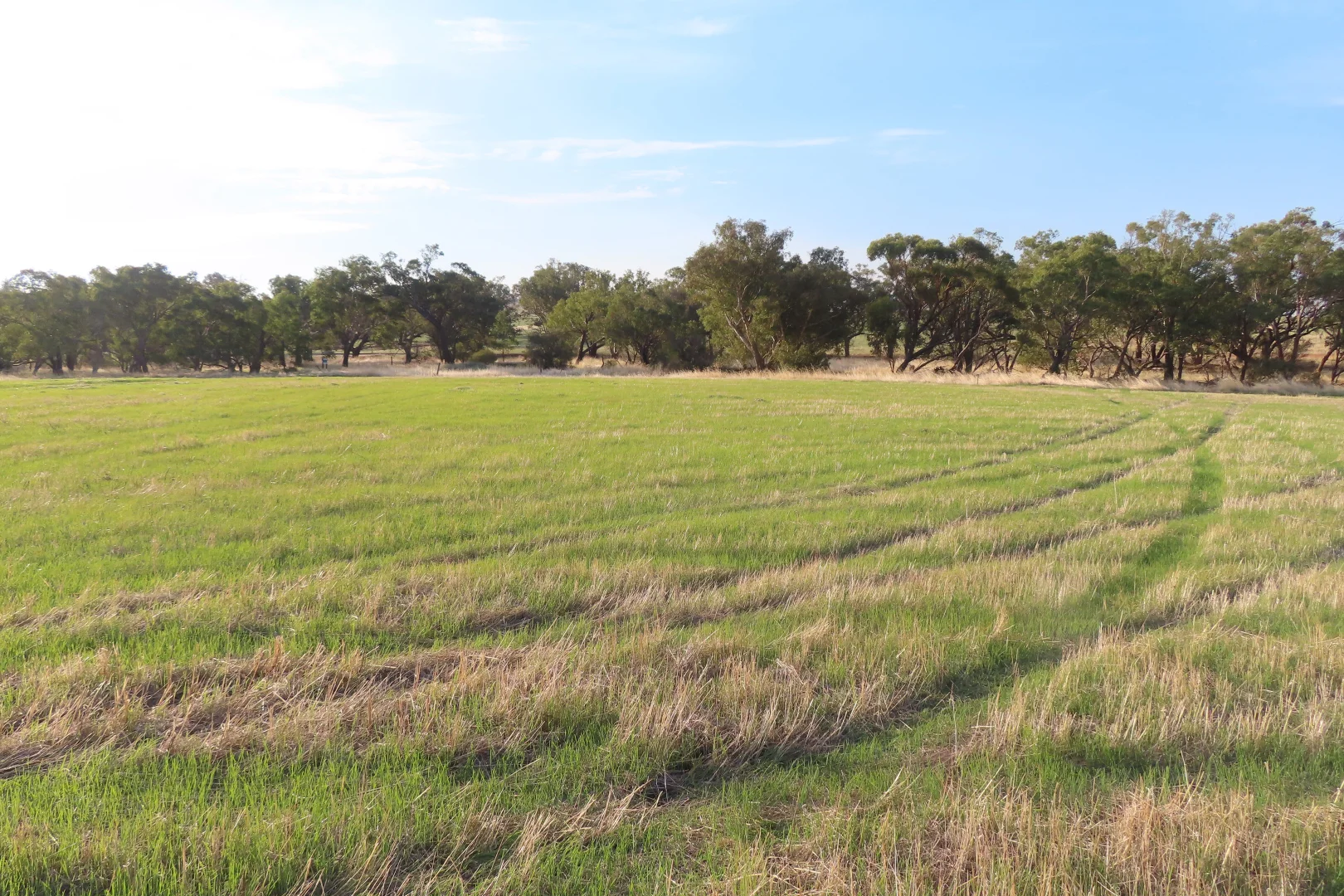 Additional image 3 of Lot 16 Barndon Street, Spencers Brook WA 6401