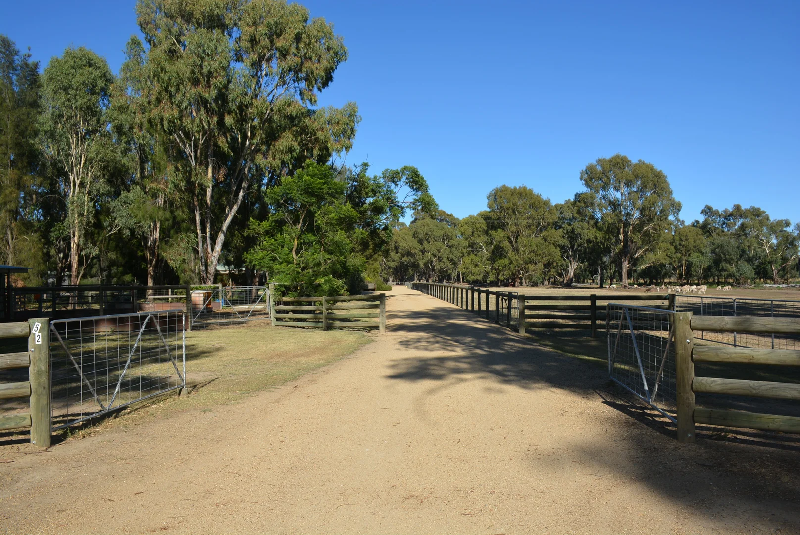 Image 13
