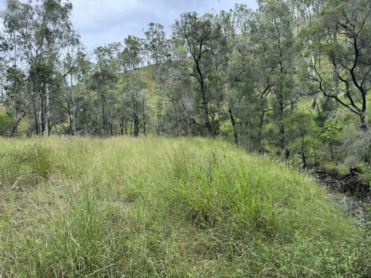 Additional image 29 of 1609 Monal Road, Monto QLD 4630