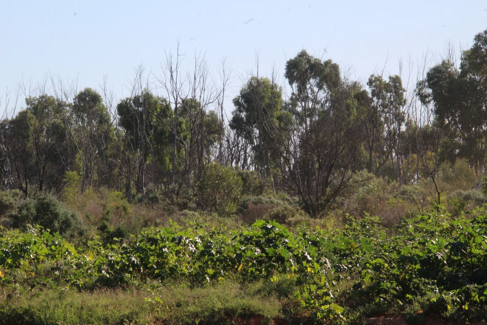 Image 10