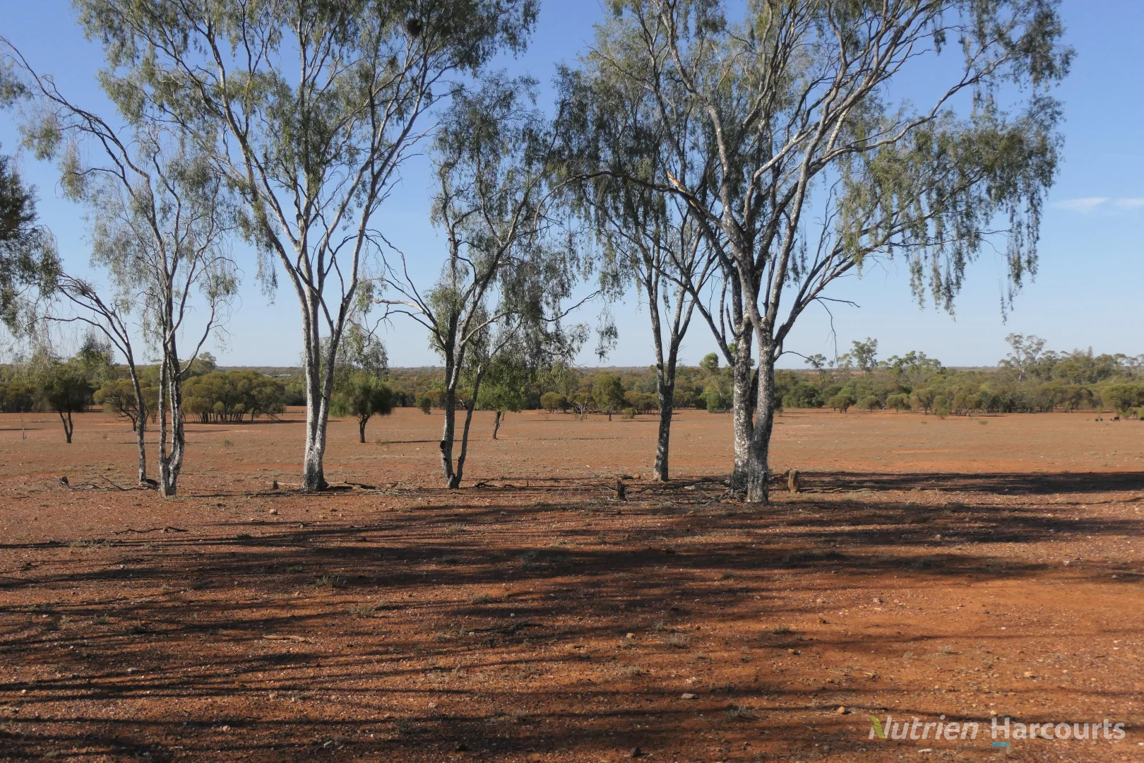 Additional image 7 of 27 Singleton Drive, Cobar NSW 2835