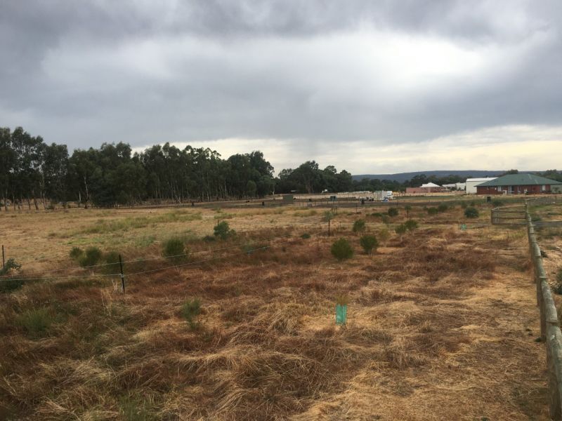 Lot 116 Bolliong Grove, North Dandalup WA 6207, Image 2