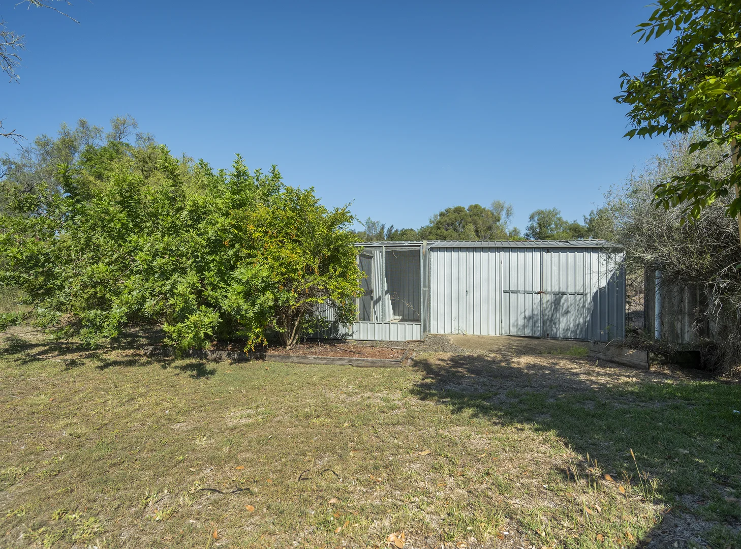 Image 12