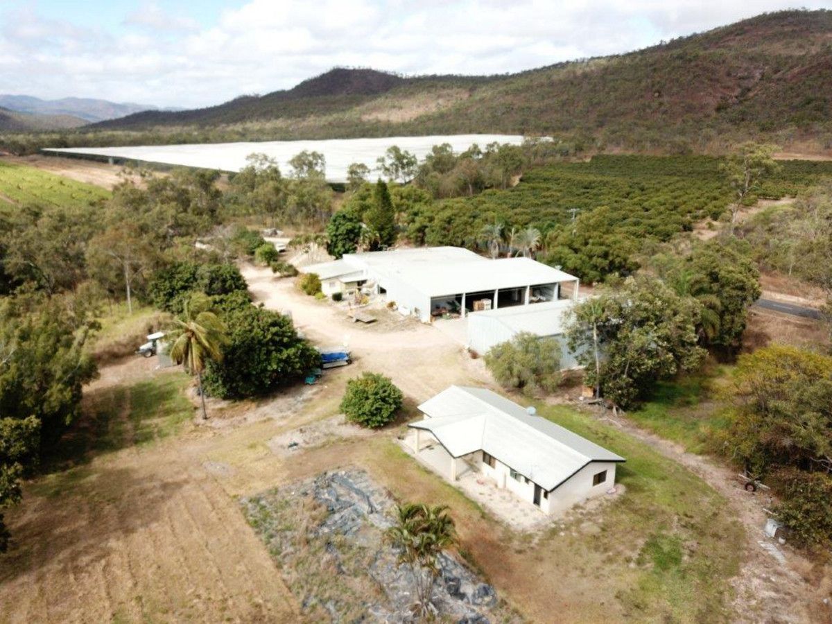 403 Springmount Road, Mutchilba QLD 4872, Image 2