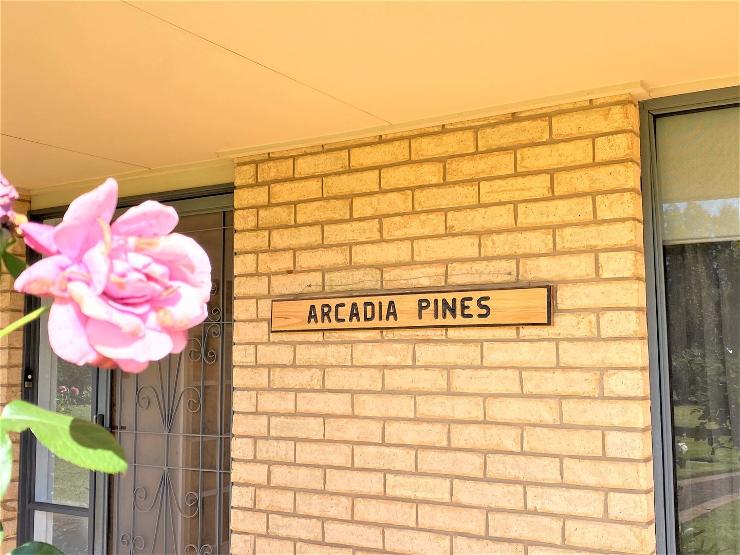 Arcadia Pines - 1484 Arcadia Lane, Goolgowi NSW 2652, Image 2