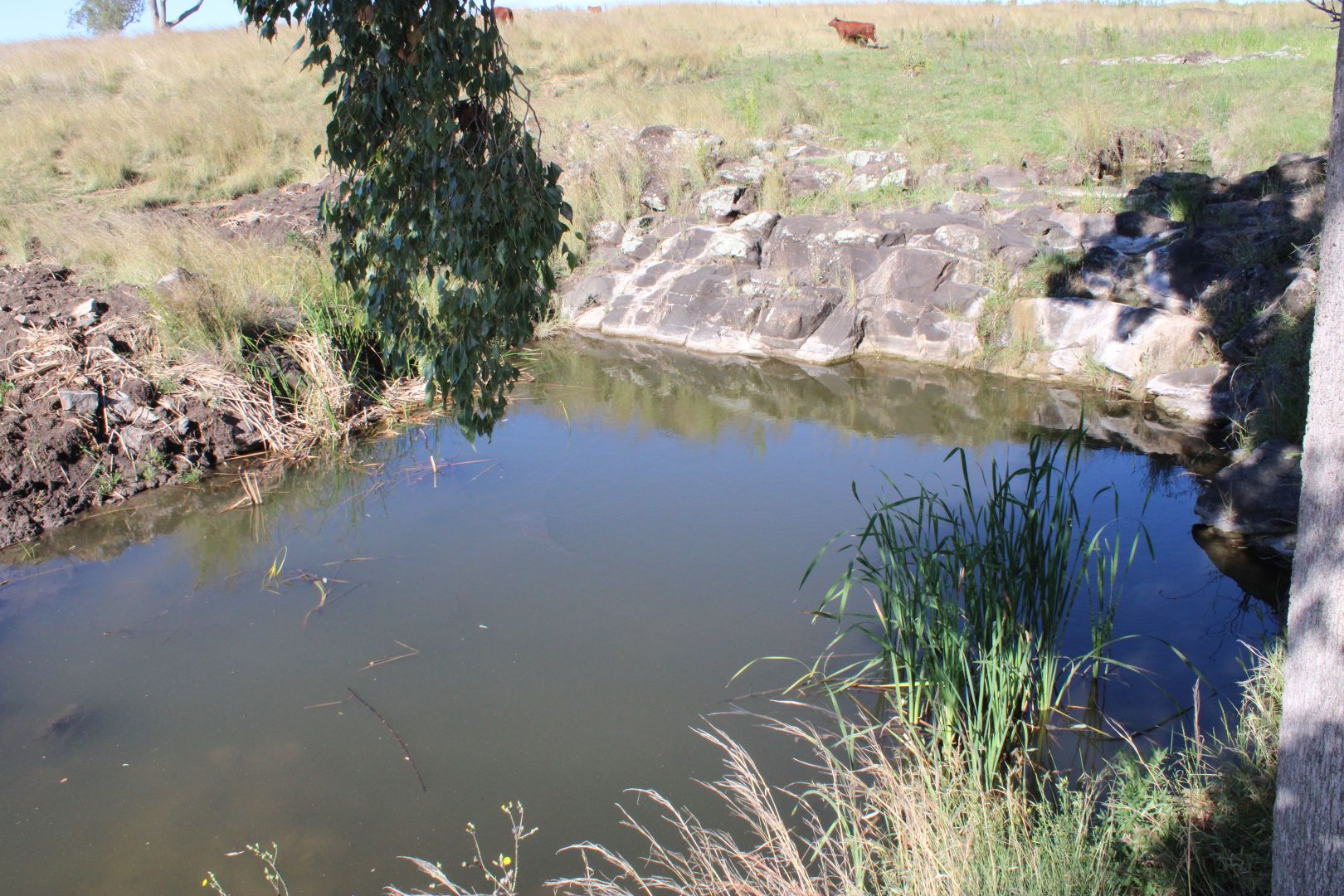 Lot 1 Glenesk Road, Inverell NSW 2360, Image 2