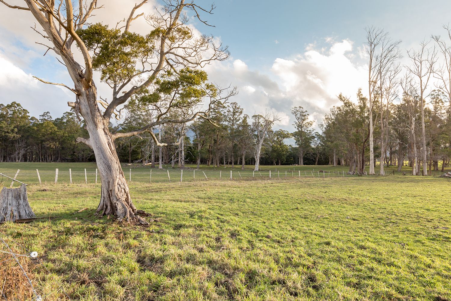 331 Western Creek Road, Caveside TAS 7304, Image 2