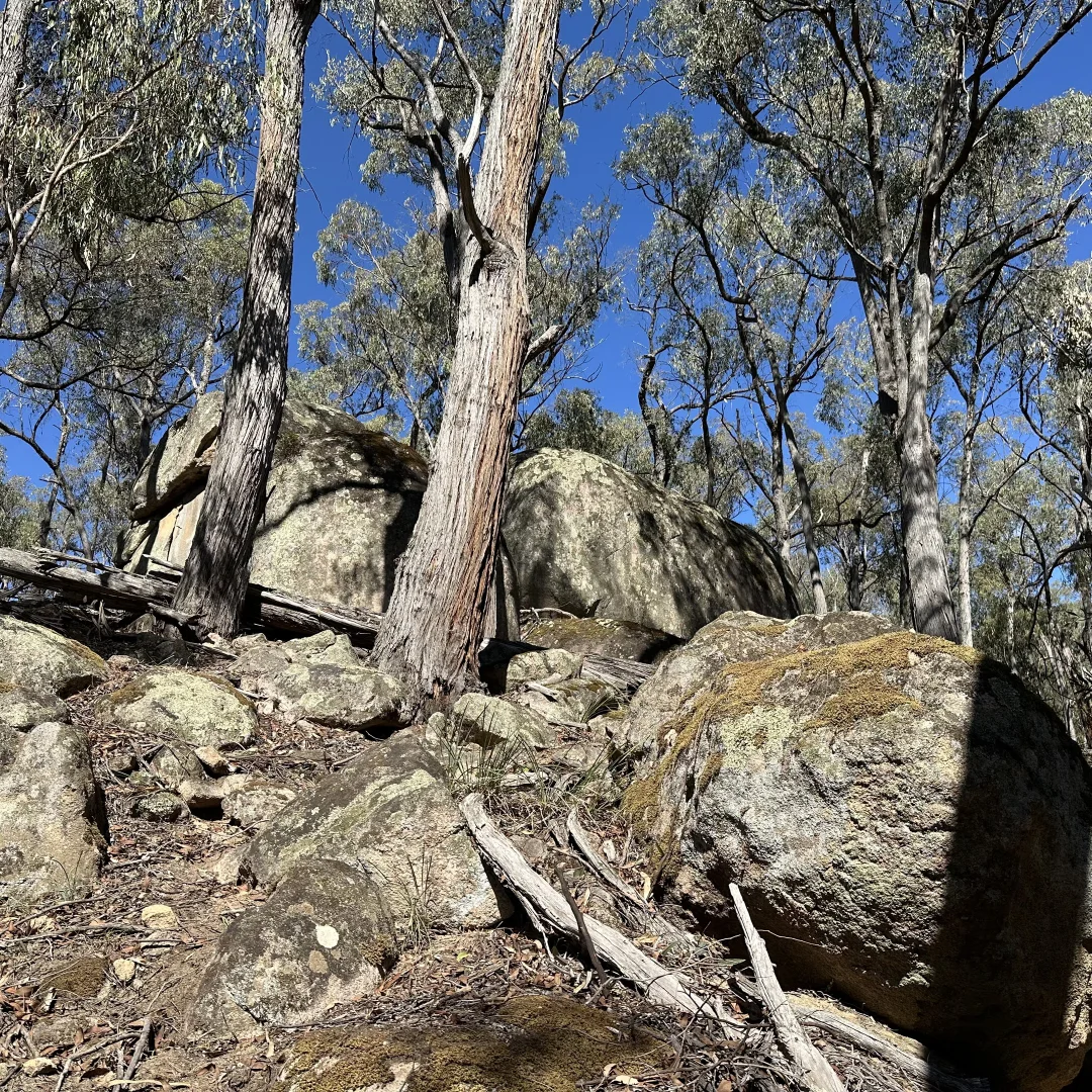 Additional image 15 of 880 Lima East Road, Lima East VIC 3673