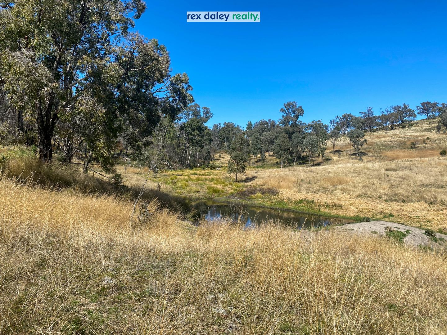 229 Bundarra Road, Barraba NSW 2347 House for Sale 590,000
