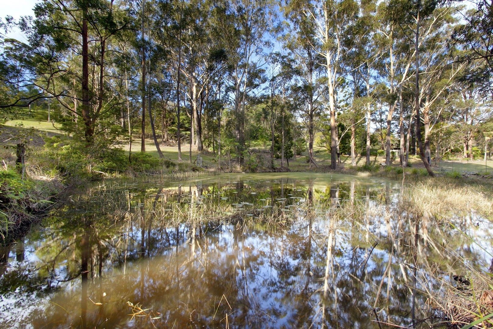 Lot 102 Skinner Cl, Emerald Beach NSW 2456, Image 0