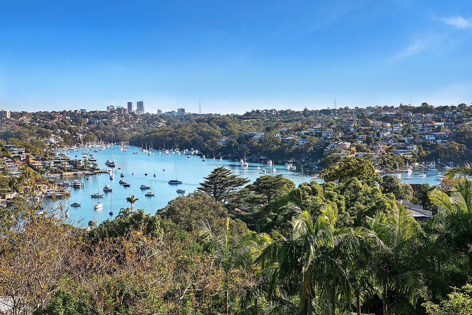 34 Central Avenue, Mosman NSW 2088, Image 0