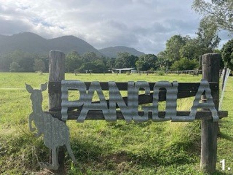 1006 Woodstock Giru Road, Mount Surround QLD 4809 House for Sale