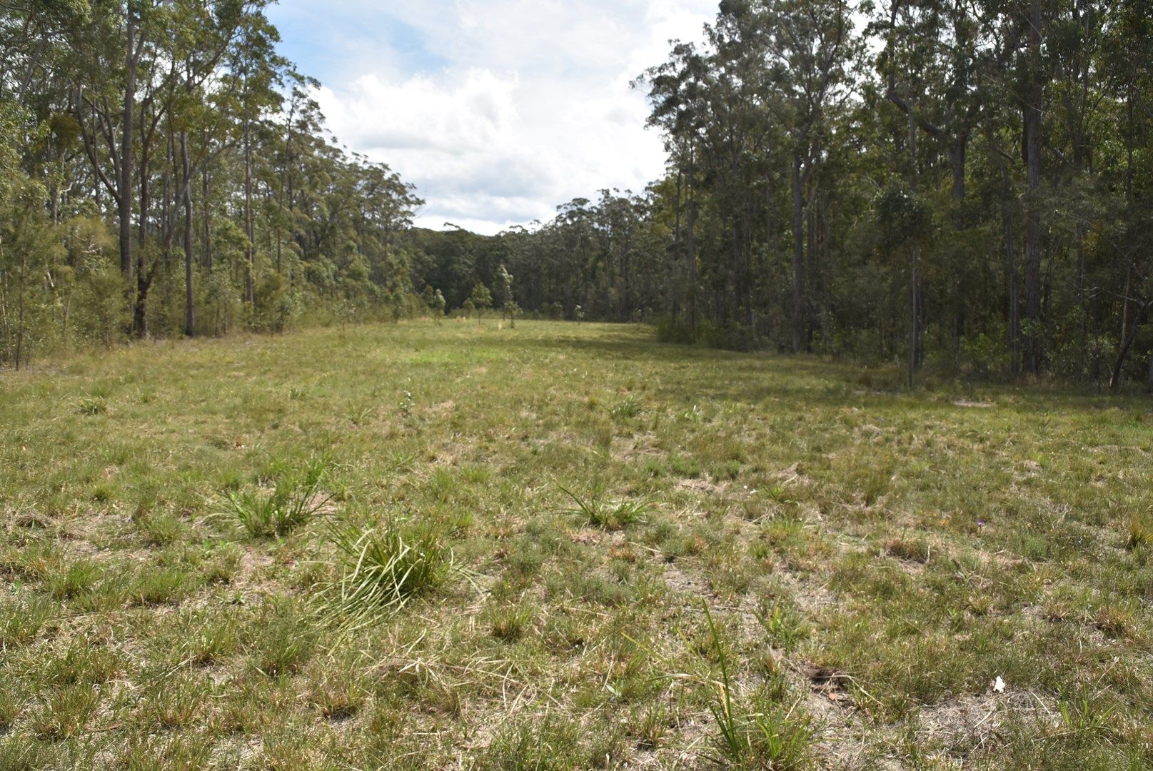 Lot 125 Boolambayte Road, Boolambayte NSW 2423, Image 0