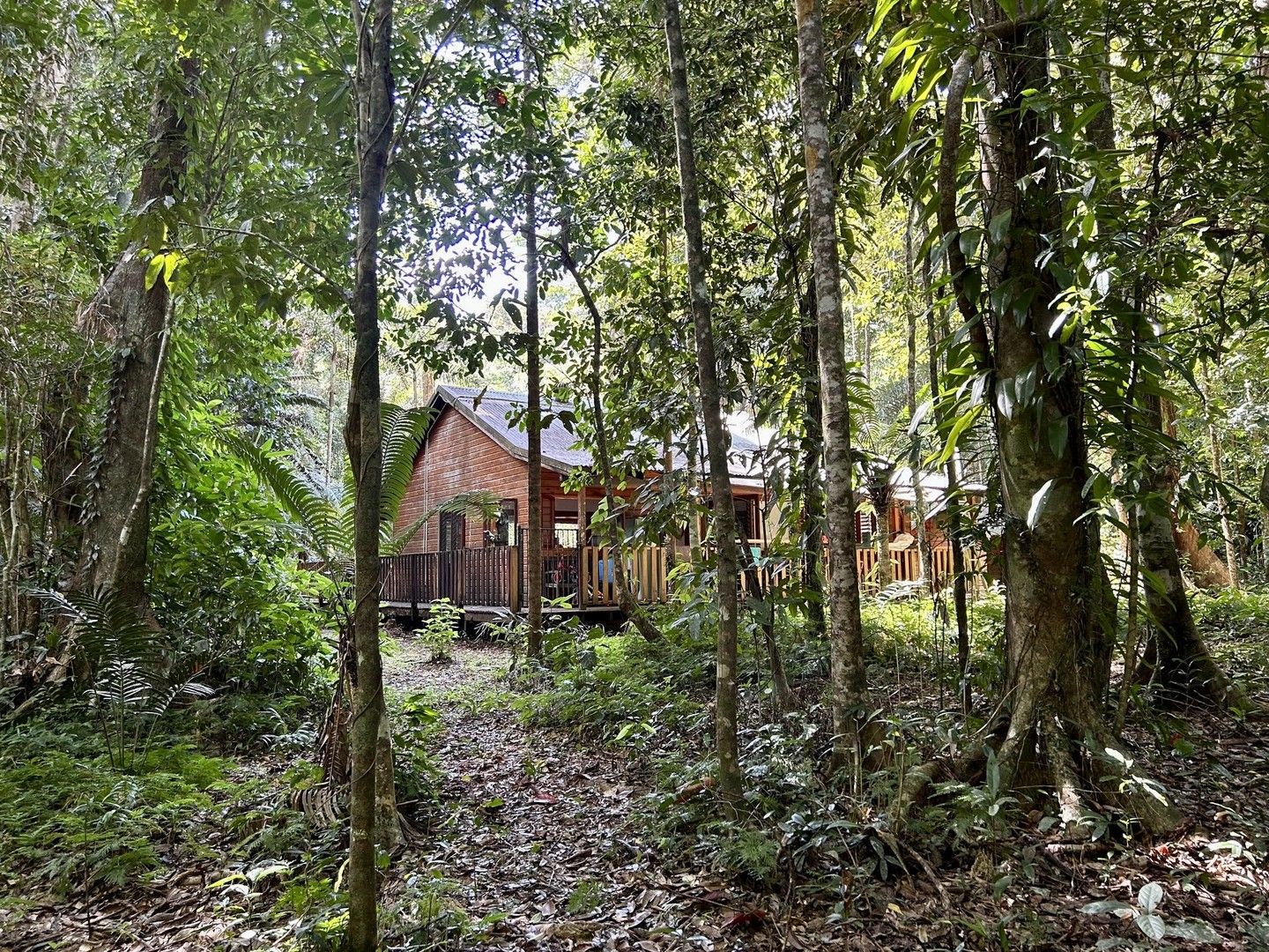 Lot 460 Black Bean Road, Daintree QLD 4873, Image 0