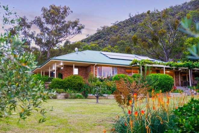 Picture of 206 Yellow Box Road, THE ANGLE NSW 2620