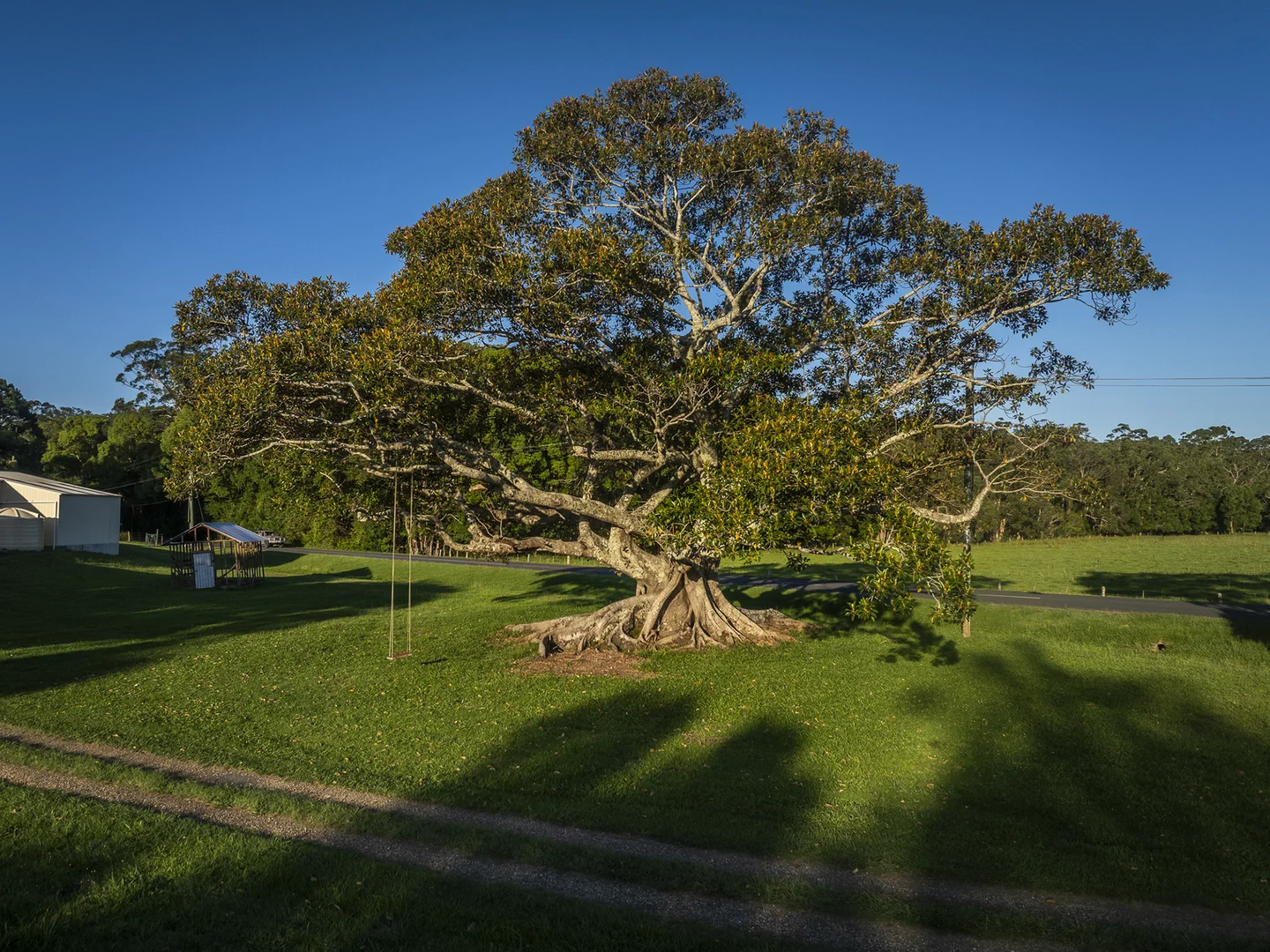 Image 11