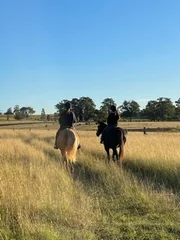 Additional image 19 of 581 Dyrring Road, Dyrring NSW 2330