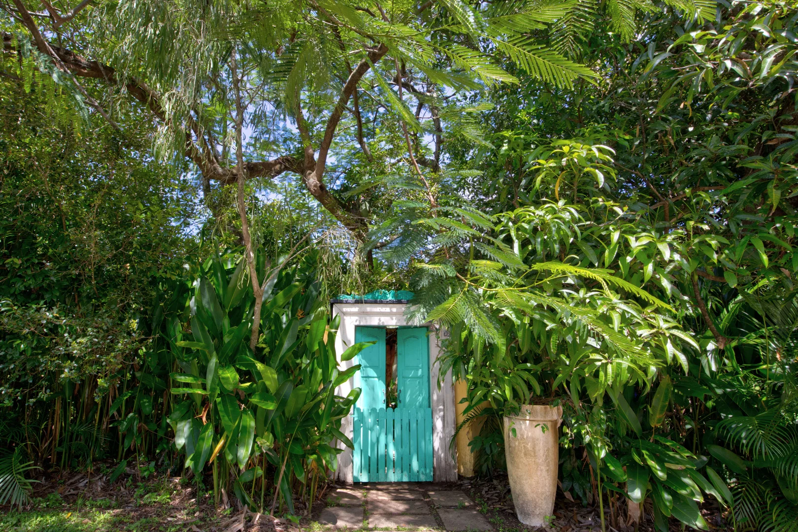 Image 20