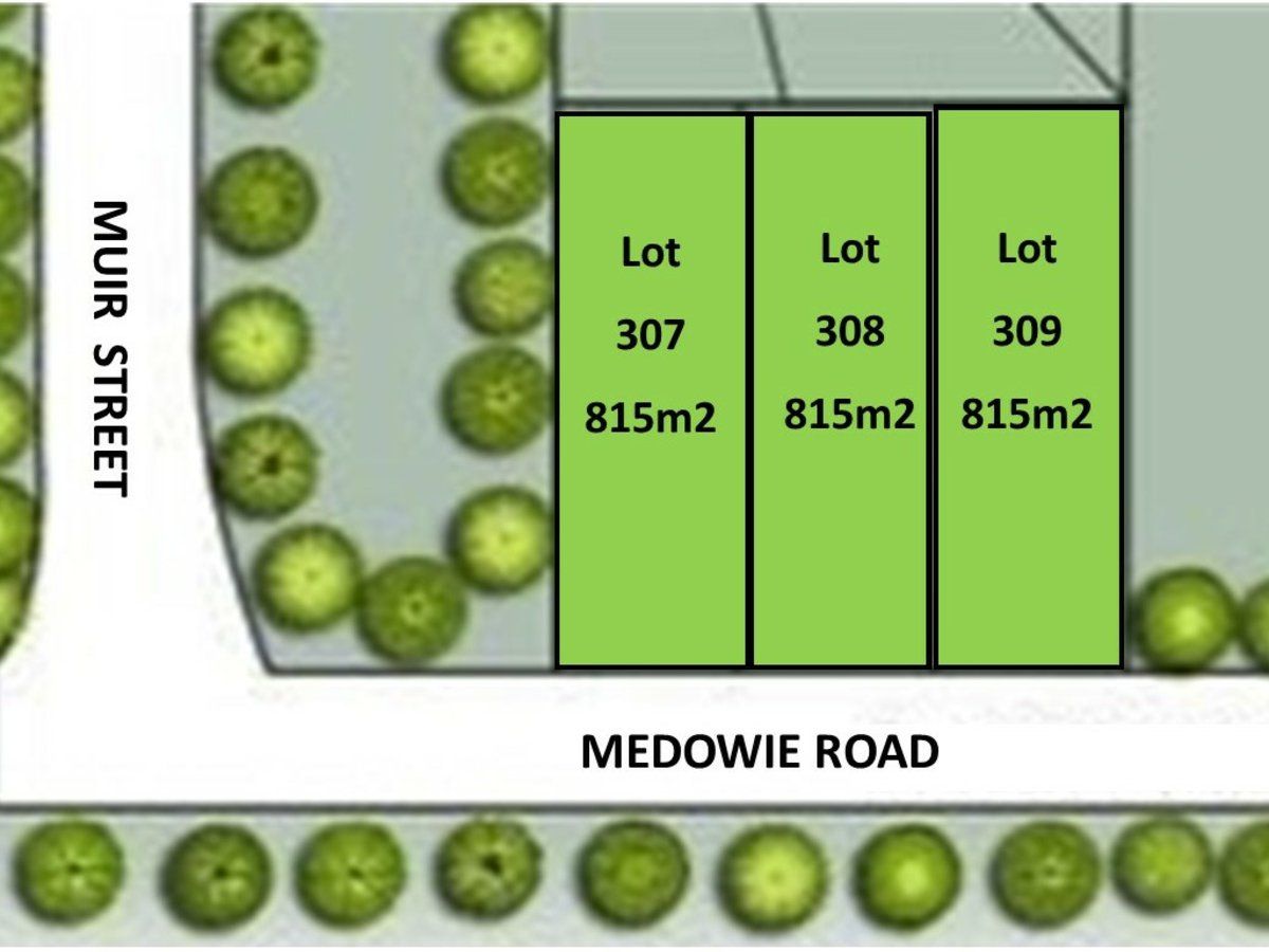 Lots 307-309/799 Medowie Road, Medowie NSW 2318, Image 2