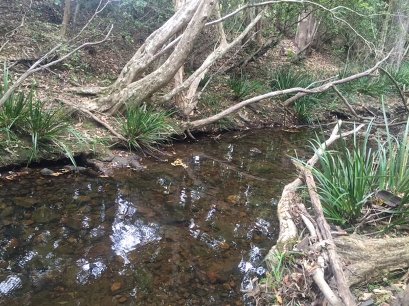 Burrell Creek NSW 2429, Image 2