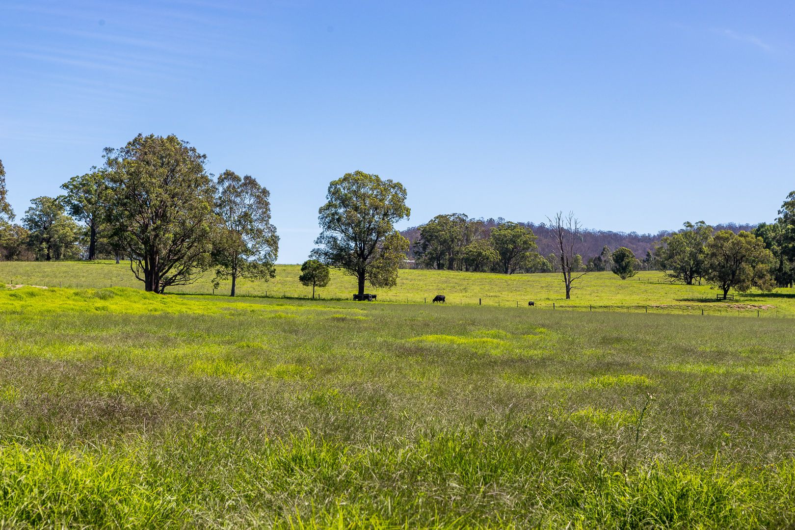 519 Pine Brush Road, Glen William NSW 2321, Image 1