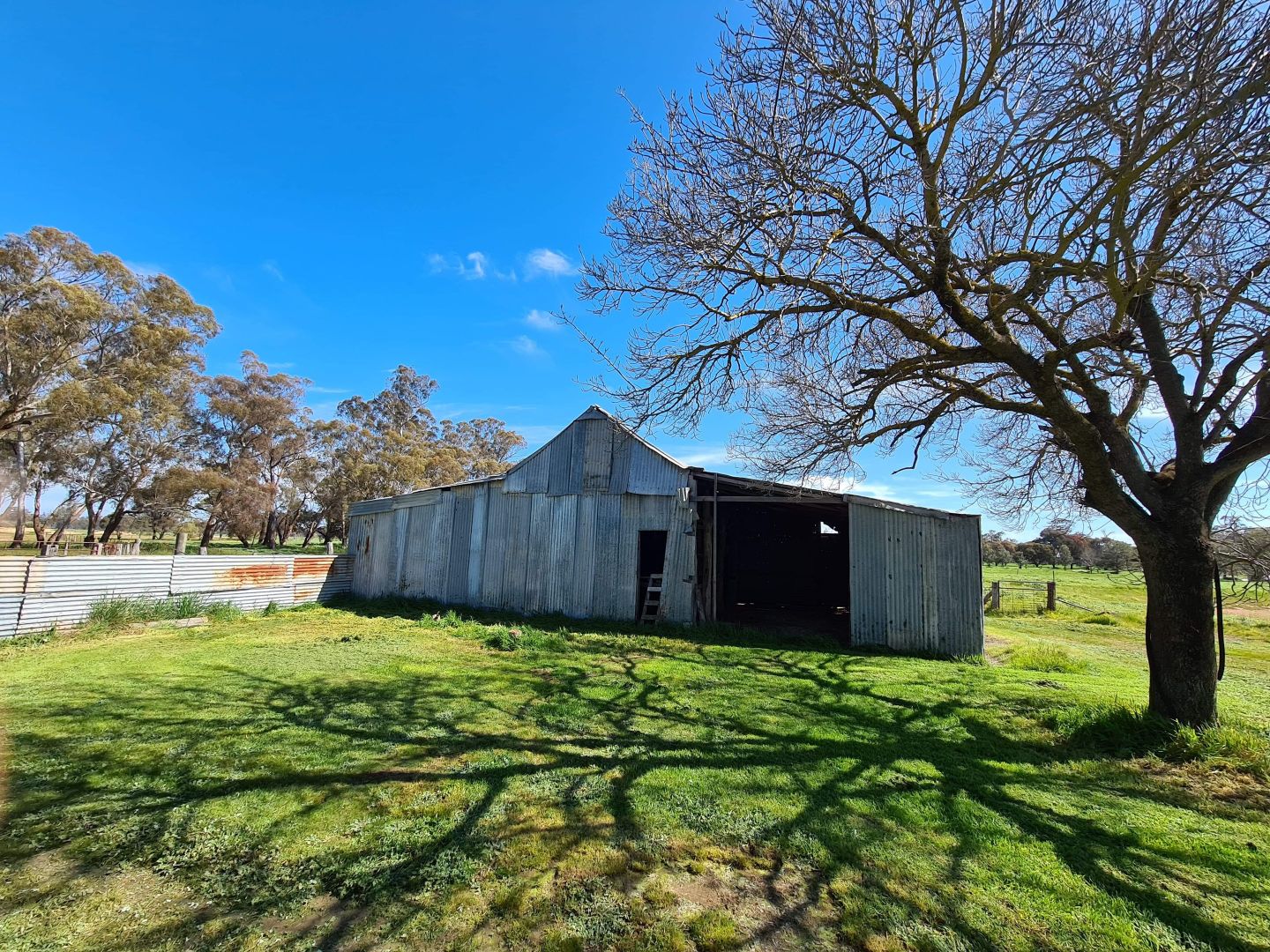 3868 Violet Town Murchison Rd, Violet Town Via, Euroa VIC 3666, Image 2