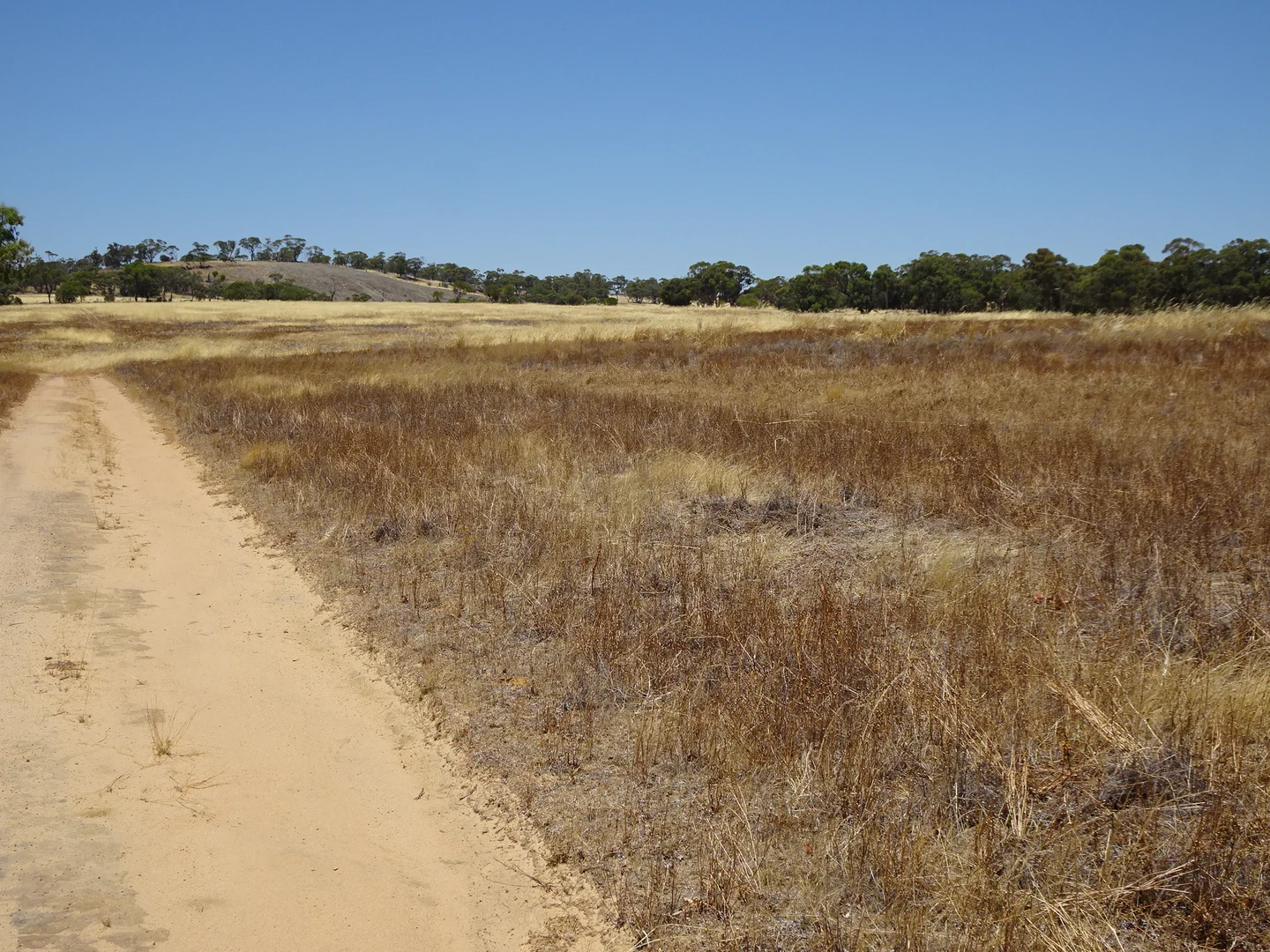 Image 15
