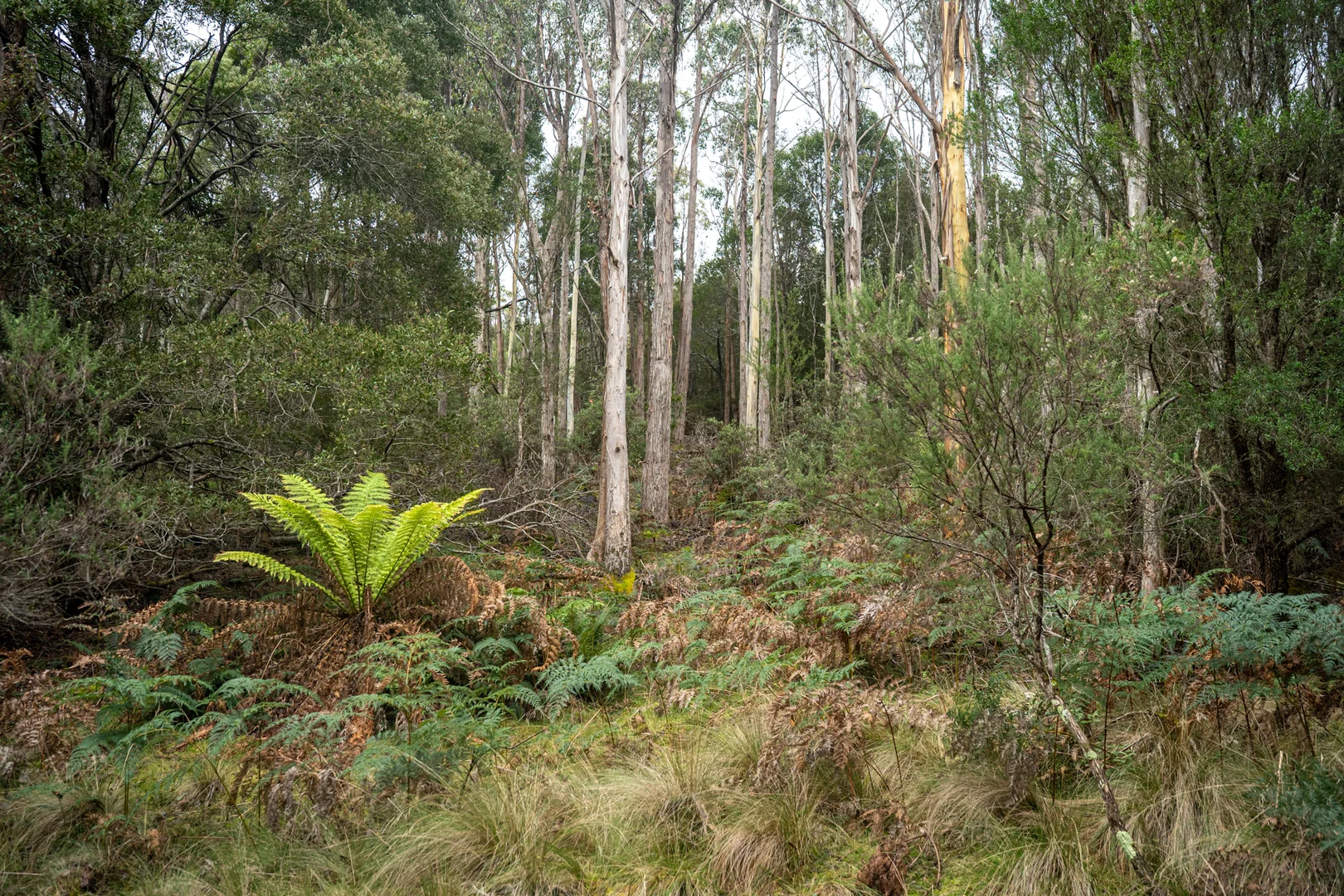 Image 35
